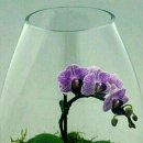 광주금수장호텔 이미지