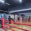 강병인 복싱 이미지