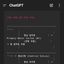 2025년도에 들어와 집중 고문 당하는 대뇌피질 부위와 통증 : 경추와 후두엽, 전두엽, 두정엽, 그리고 팔저림, 끊어짐과 팔움직임 이미지