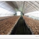 민찬농장 이미지