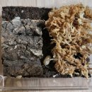 용자농장 이미지