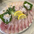 대영도매횟집 - 양산시 양주로 62 | 양산 중부동 횟집 대영도매횟집 두툼한 회 맛집