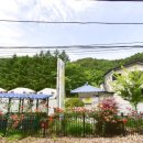 더 나눔 행정사사무소 이미지