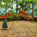 상림목욕탕 이미지