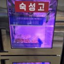 더바베큐 | [충북 청주] 청주 바베큐장 더파크바베큐 가족외식 후기 🍖 불멍존+트램펄린까지 완벽!