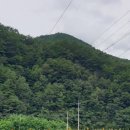 대복민박 이미지