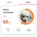 백설당구장 이미지