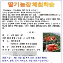 산남용인대태권도장 이미지