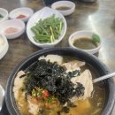 양산 | [경남/양산여행] 양산마라톤 하프후기!