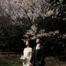 5344 | 부산 야외 웨딩 스냅 [포스탈지아] 추천 후기