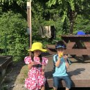 자연카라반펜션 이미지