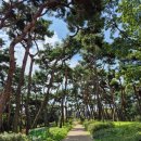열녀 전주이씨 정려 | 완주산단, 우동근린공원 가을 산책