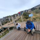 돈내코 평궤 화장실 | [주주파파 제주 일년살기] 제주가볼만한곳-오름탐방 16)윗세오름(영실탐방로)