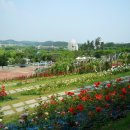 장미동산경로당 이미지