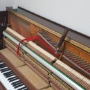 스타피아노 이미지