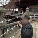 북산3-1낙차공 | 오사카 9명 대가족여행 : 인디고트래블 교토 당일 버스투어 후기