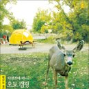 초원 낚시 & 캠핑