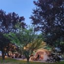 산새소리캠핑장 이미지