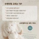 메리디어 네이버블로그