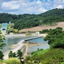 밤송이스튜디오
