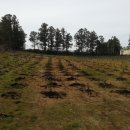 민균농장 이미지