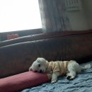정훈이네집 이미지