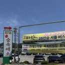 숲속애소 이미지