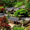 영문1리 이미지