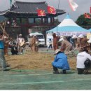 정의1리 이미지