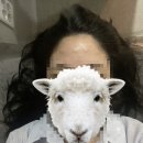 미시안의원 | [후기] 진주 미시안 의원 내돈내산 (보톡스, H 토닝, 인소닉, 제모) 후기