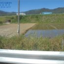 곡성-157 이미지