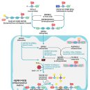 푸드트리 이미지