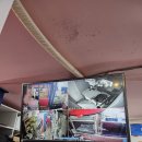 스머프동물병원 이미지