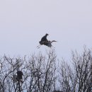 유관순열사기념관 이미지