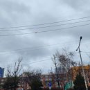 안골로19번길 이미지