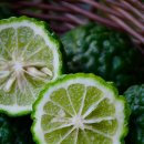 자연속에서-산 이미지