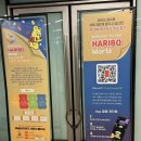 [인사센트럴뮤지얼] 하리보 100주년 생일 전시회 후기 (feat. 놀이동산)