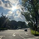 봄인디 보러와유 | 짐 언제 다 싸지