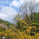 완두콩가족펜션 이미지