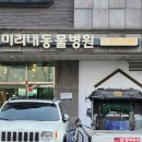 미리내동물병원 | [동물병원 추천] 남양주 "미리내 동물병원"