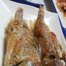 청백회다찌