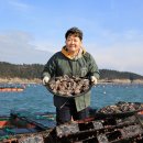 완도참전복집 이미지