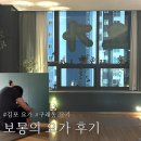 요가B  심신단련요가 | 김포 구래동 요가 : 보통의 요가 레슨 후기 🧘🏻‍♀️ 몸과 정신을 하나로 수련하기 🧘🏻‍♀️