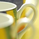 덴탈이유 이미지