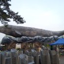 고래박물관 매표소 화장실 이미지