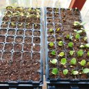 봉의농장 이미지