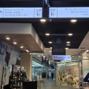 행운전자 | [서울 용산구]메디킹덤약국/창고형 약국/용산전자상가/내돈내산 후기