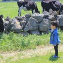 이건목장 이미지