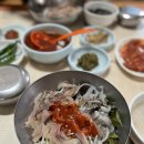 활천구룡포회 | 경주 넘버원 회덮밥 "용산회식당" 내돈내산