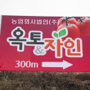 옥토법인 Daum카페